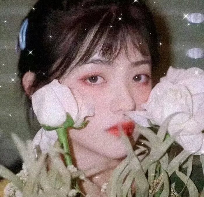 波特小姐